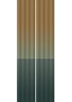 Gradient Stripes behang FU-017