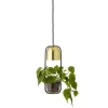 Hanglamp gold finish LED glas