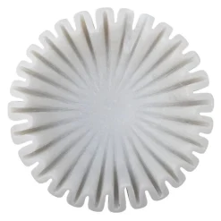 Harmonia schaal - 82068092