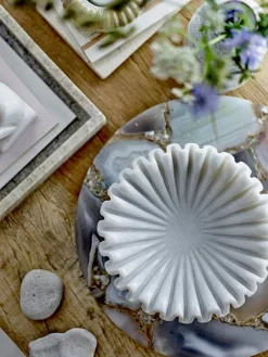 Harmonia schaal - 82068092