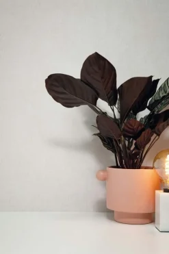 Hotel chique behang - berlin