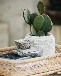 Leafa schaal S set van 4 stuks - 68093