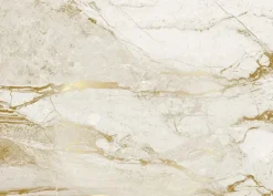 Marmer behang FU-074 - 389,6x280cm goud/wit