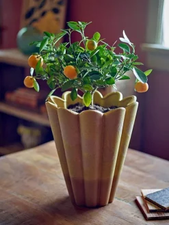 Penn vaas geel - 82072438