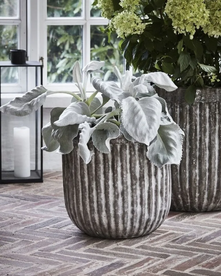 Pharao potten set van 2 stuks - 203841101