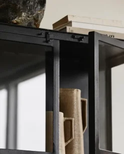 Phoenix kast met 2 deuren small - zwart