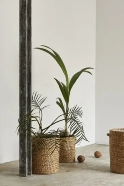 Ross plantenbakken - 67407