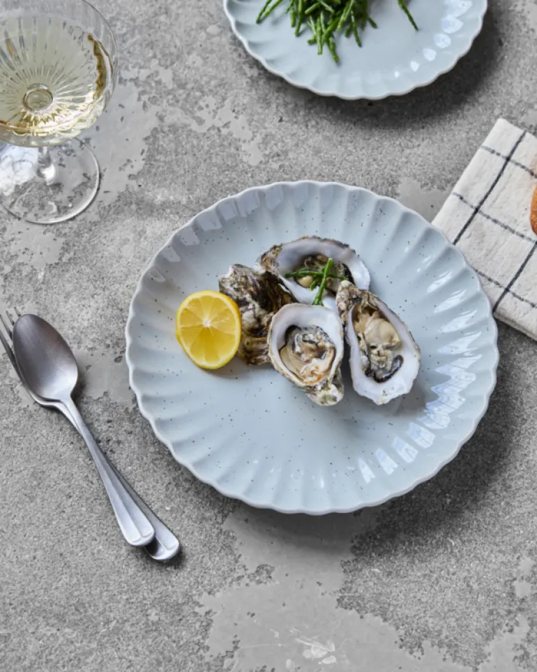 Scallop dinerborden lichtblauw set van 6 stuks - 267710016