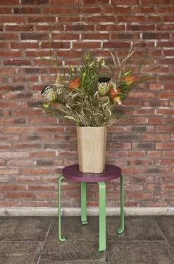 Smile kruk burgundy/groen - 021607