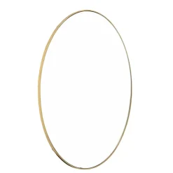 Spiegel metaal - goud