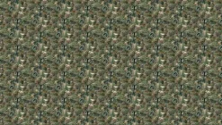 Underwater jungle fotobehang WP-691 - 194,8 x 280 cm