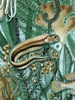 Underwater jungle fotobehang WP-694 - 292,2 x 280 cm