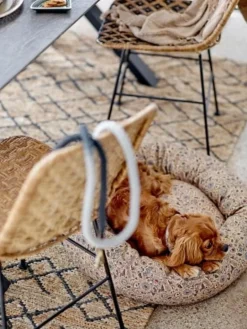 Vittoria hondenmand - 82059555