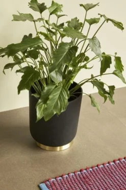 Vloerkleed wol - blauw/bordeaux