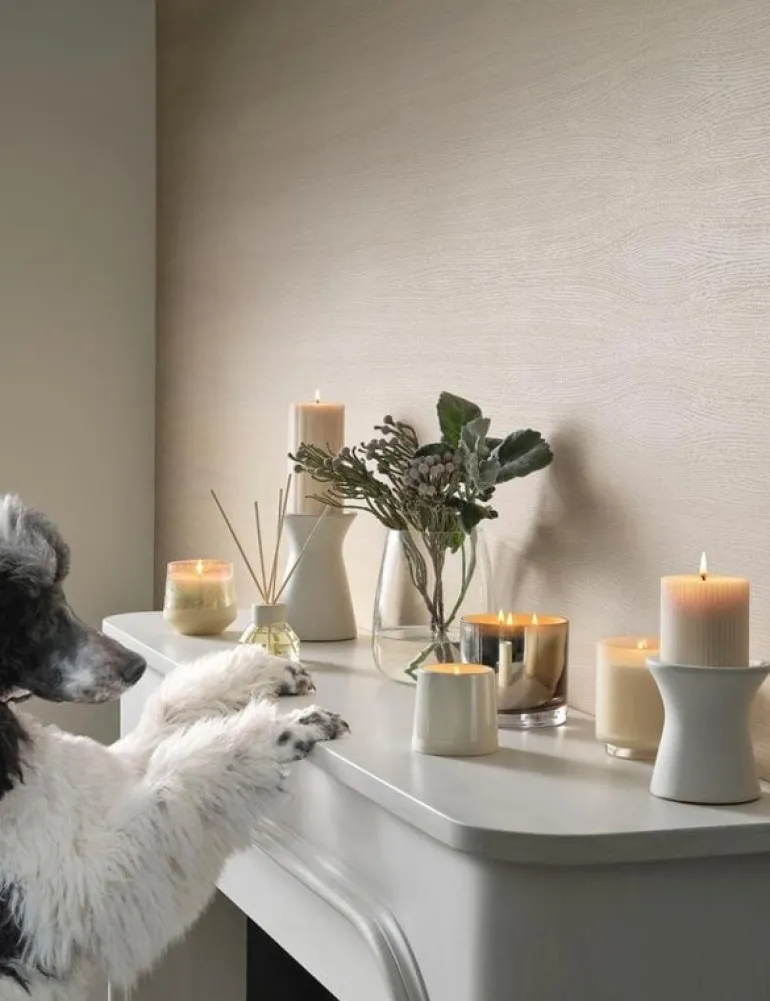 Winter white box kaars wit - 4537533300