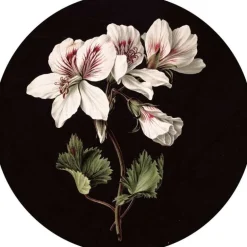 Witte bloemen behangcirkel SC-071 ø142,5cm